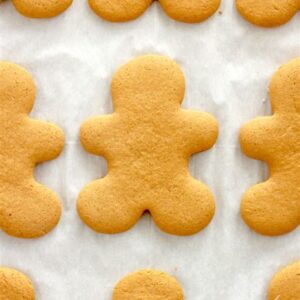 December 22, Mon. 9:30-2pm Winter Break Day Camp!